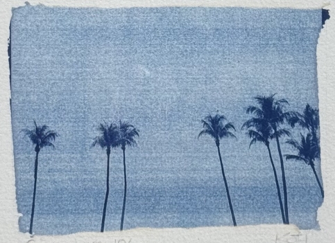 palmiers_cyanotype_#4