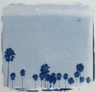 palmiers_cyanotype_#2