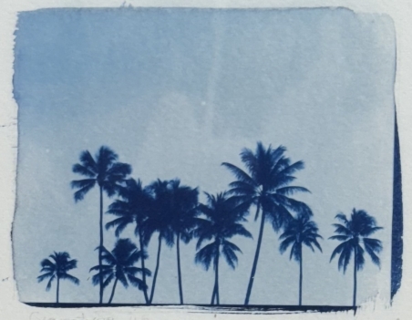 palmiers_cyanotype_#1