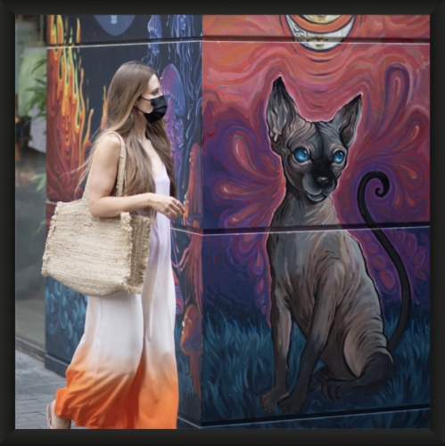 bastet_urbaine