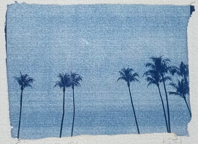 palmiers_cyanotype_#4